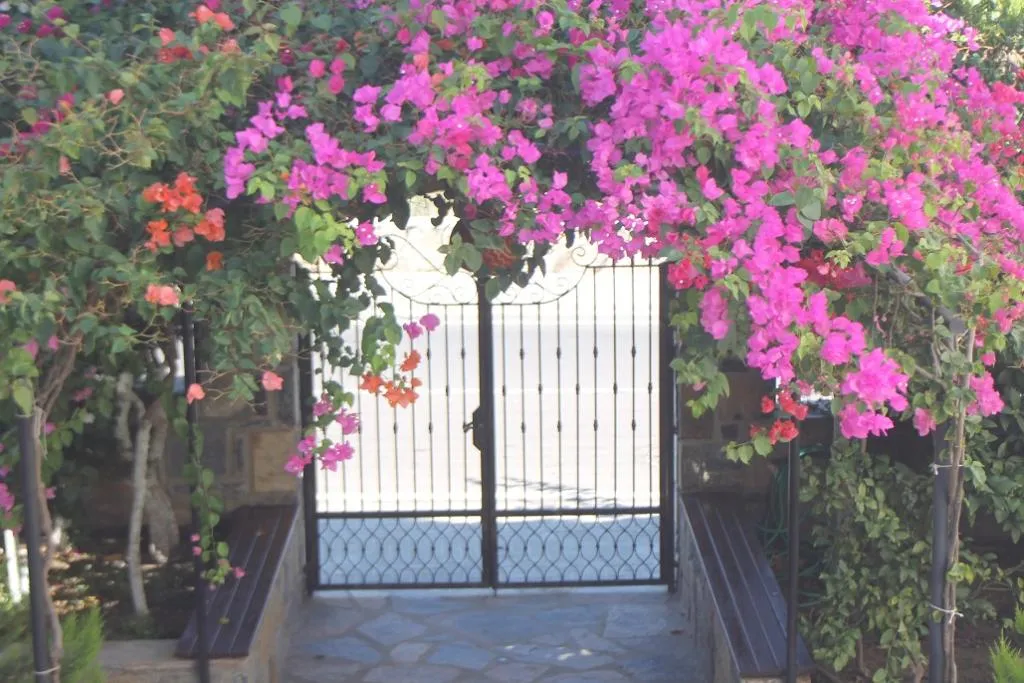 General view, Lemon Tree, Bodrum