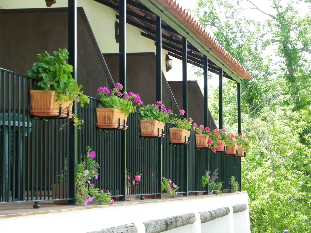 Terrace, Finca la Media Legua, Seville