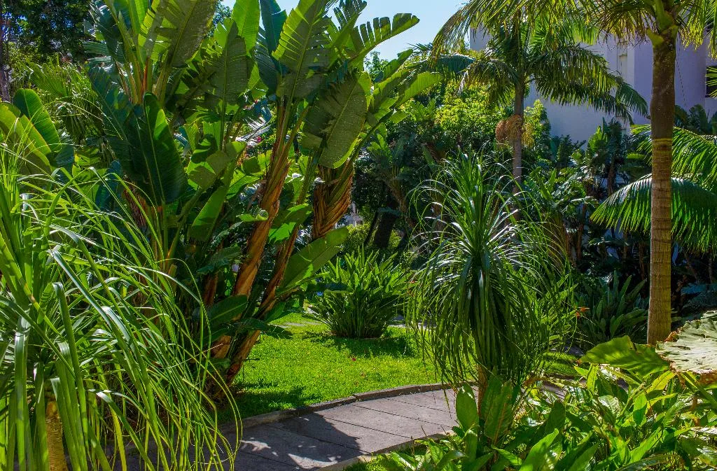 Sports and Entertainment, Estrelicia Hotel, Madeira