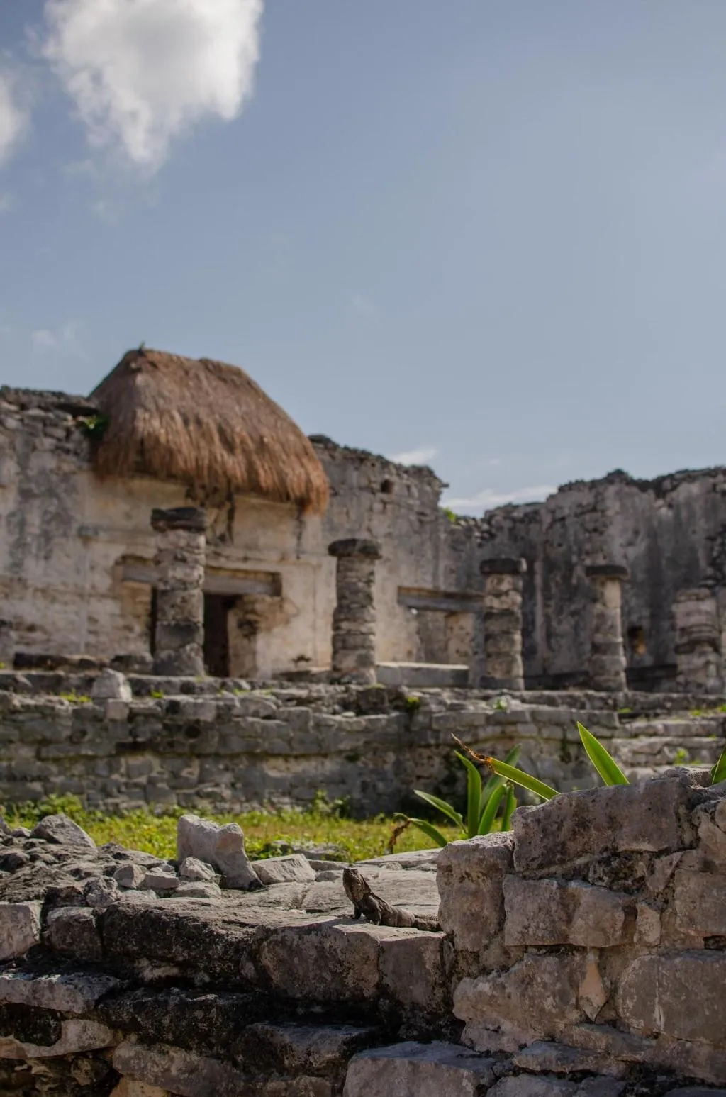 General view, Encantada Tulum, Cancun Area