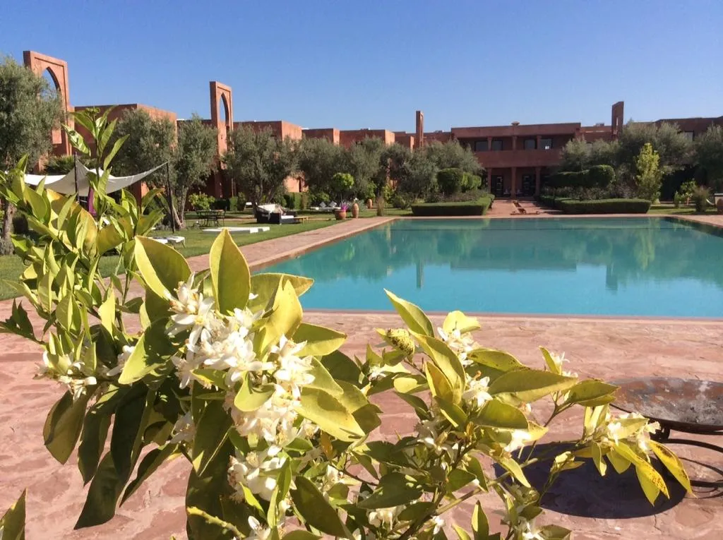 Pool, Les Jardins De Zyriab, Marrakech