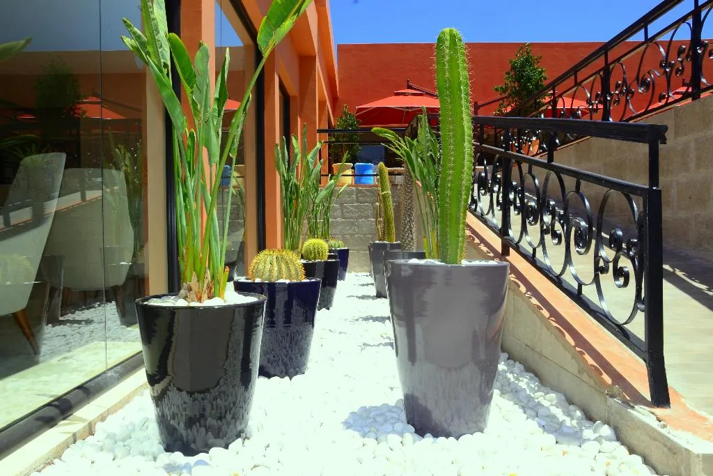 Terrace, Medina Gardens, Marrakech
