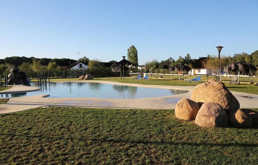Pool, Ardea Purpurea, Andalucia