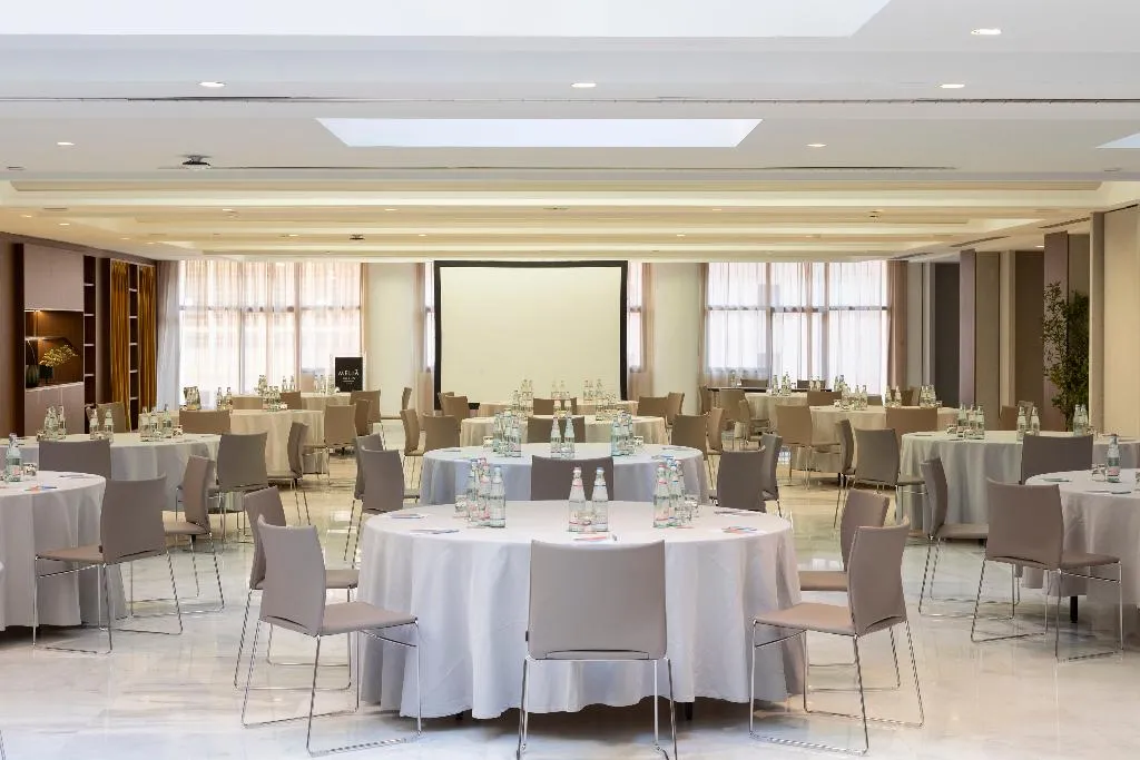 Conferences, Melia Milano, Milan