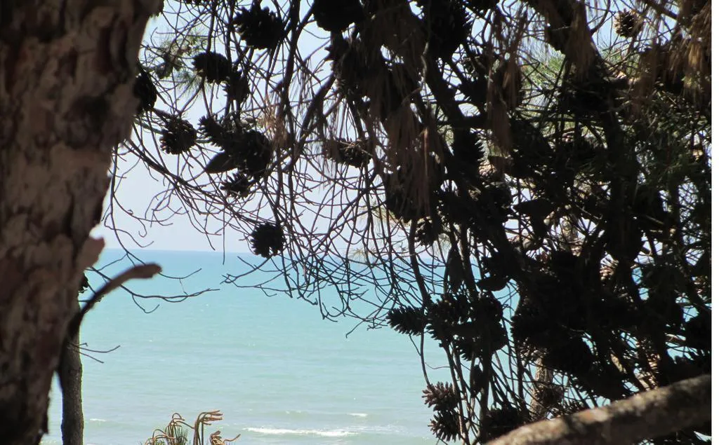 General view, Bel Conti, Durres
