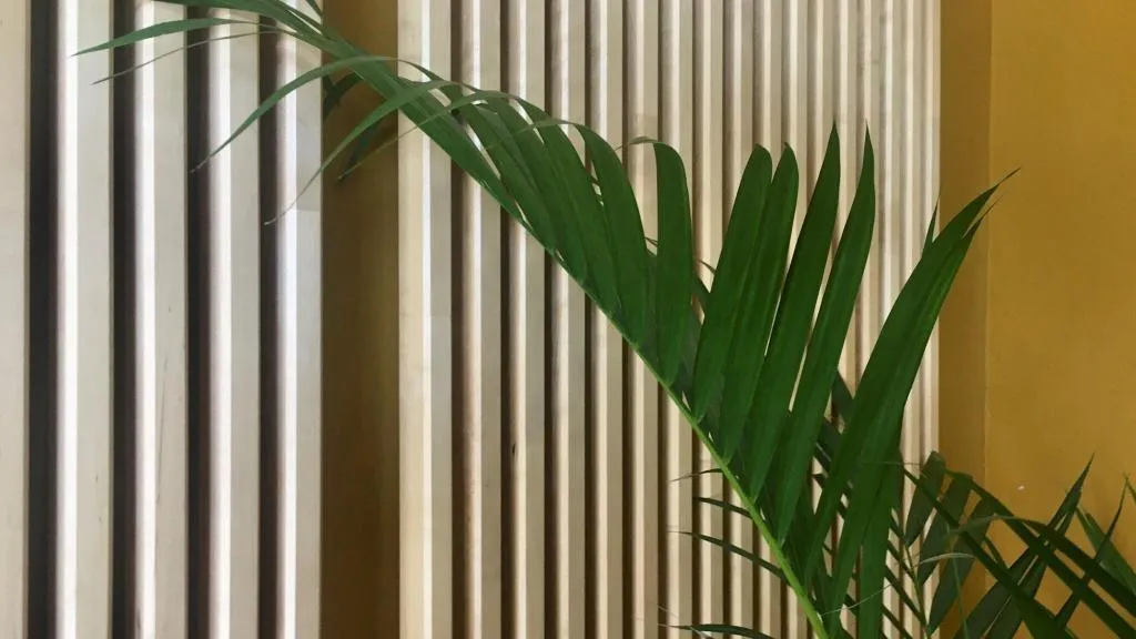 Lobby, B&B Mare de Deu Jardines del Turia, Valencia
