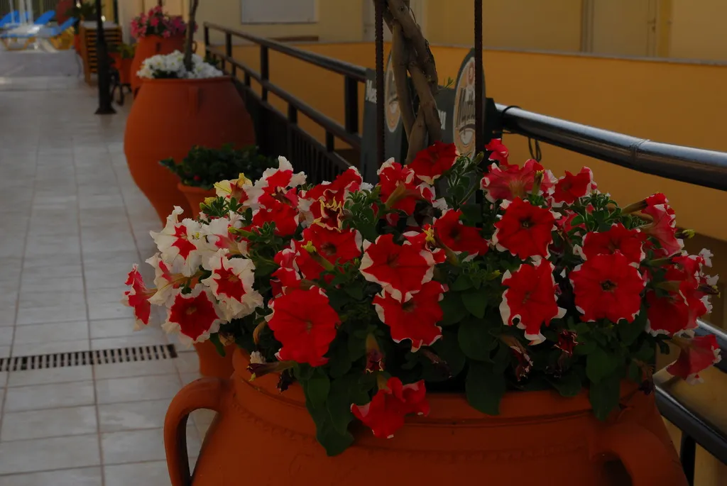 General view, Elpis Studios & Apartments, Crete