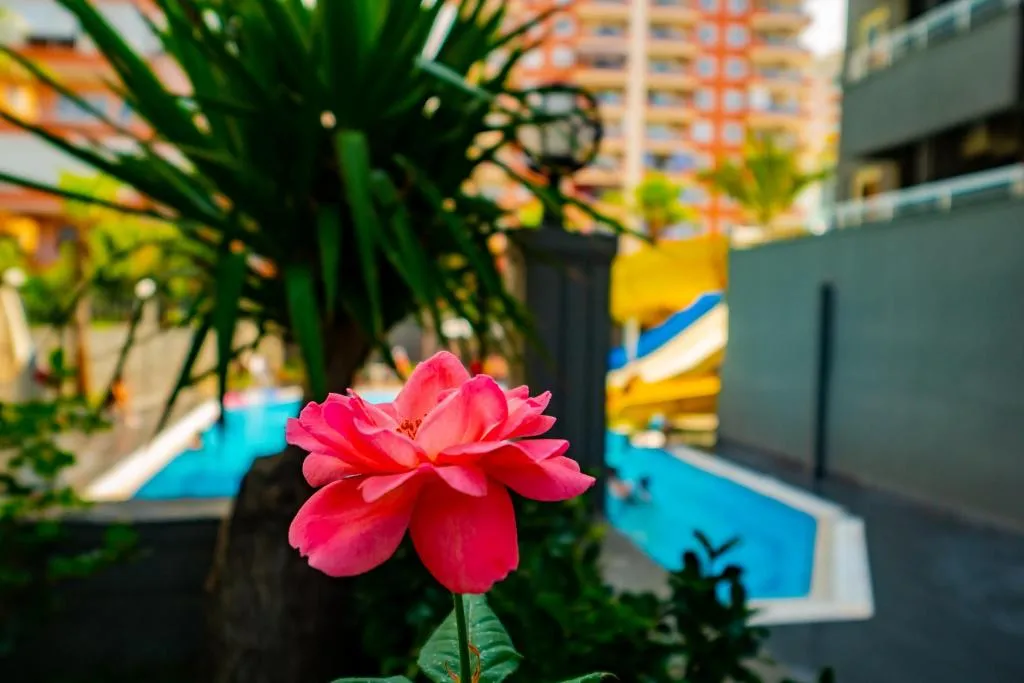 General view, Senza Grand Santana Hotel, Antalya