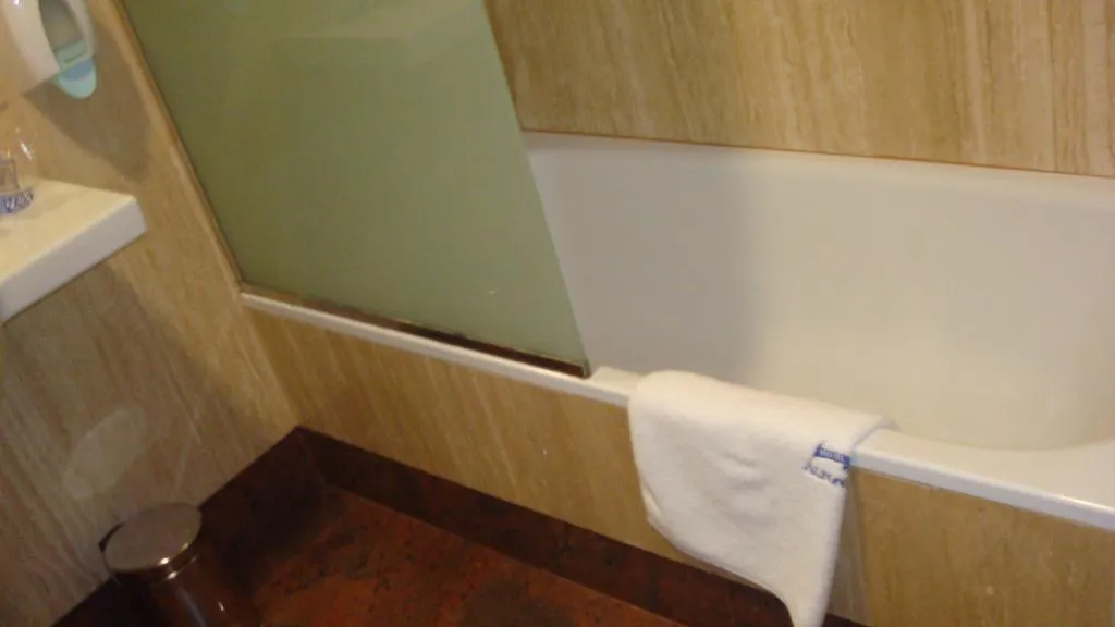 DOUBLE SINGLE USE STANDARD Room, Alfonso VIII, Madrid