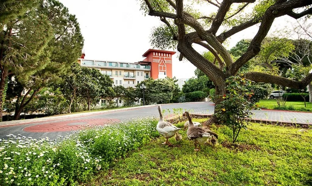 General view, Belconti Resort Hotel, Antalya