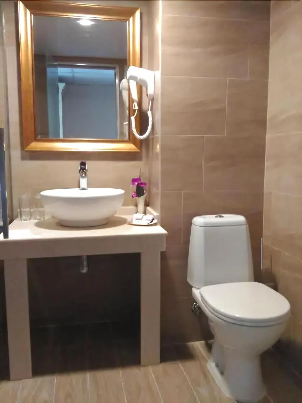 Room, Alekta, Varna