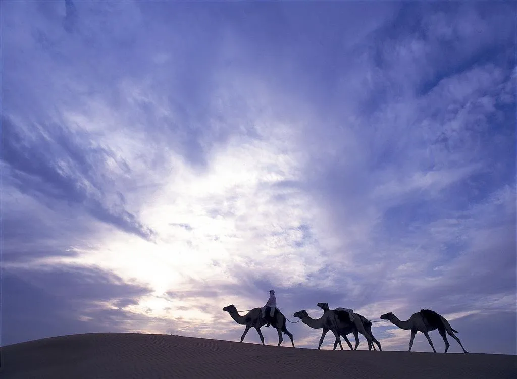 General view, Al Maha, a Luxury Collection Desert Resort & Spa, Dubai