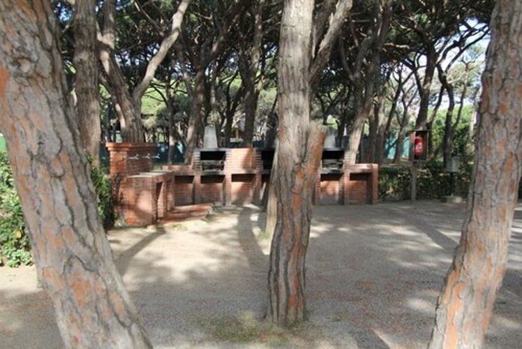3 Estrellas Camping, Barcelona