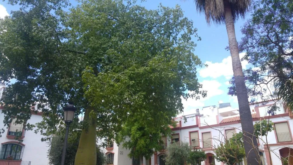 General view, Hospederia V Centenario, Costa Del Sol