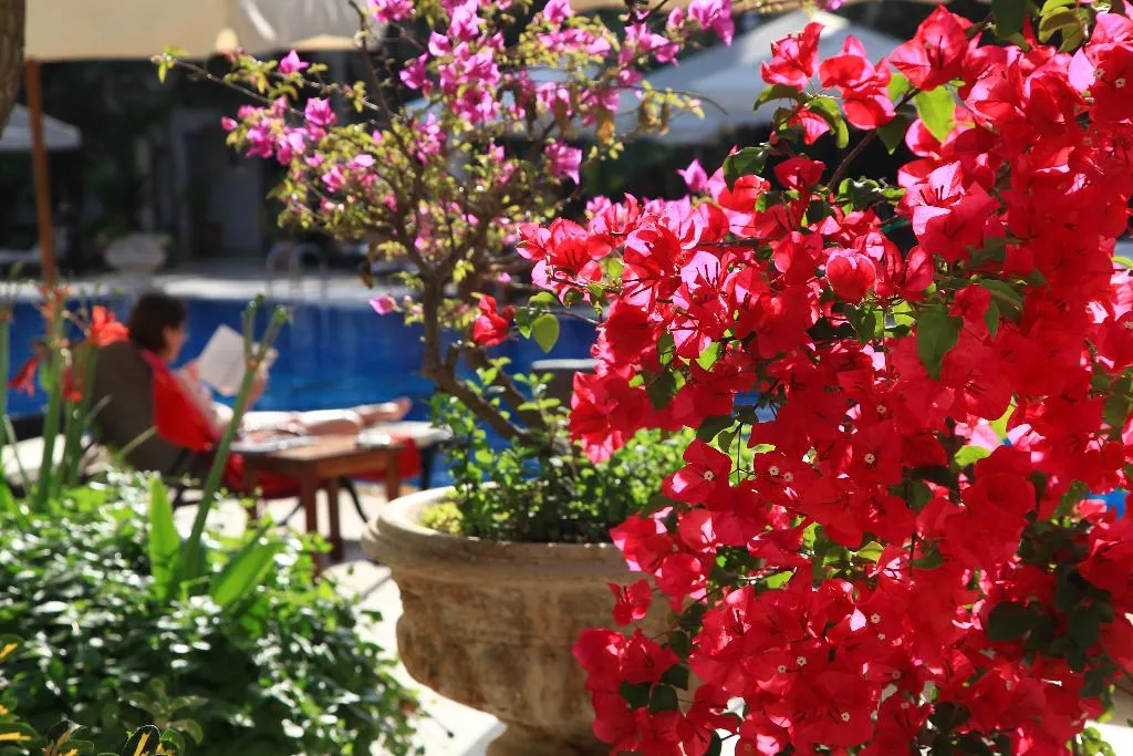 General view, DoubleTree by Hilton Bodrum Marina Vista, Bodrum