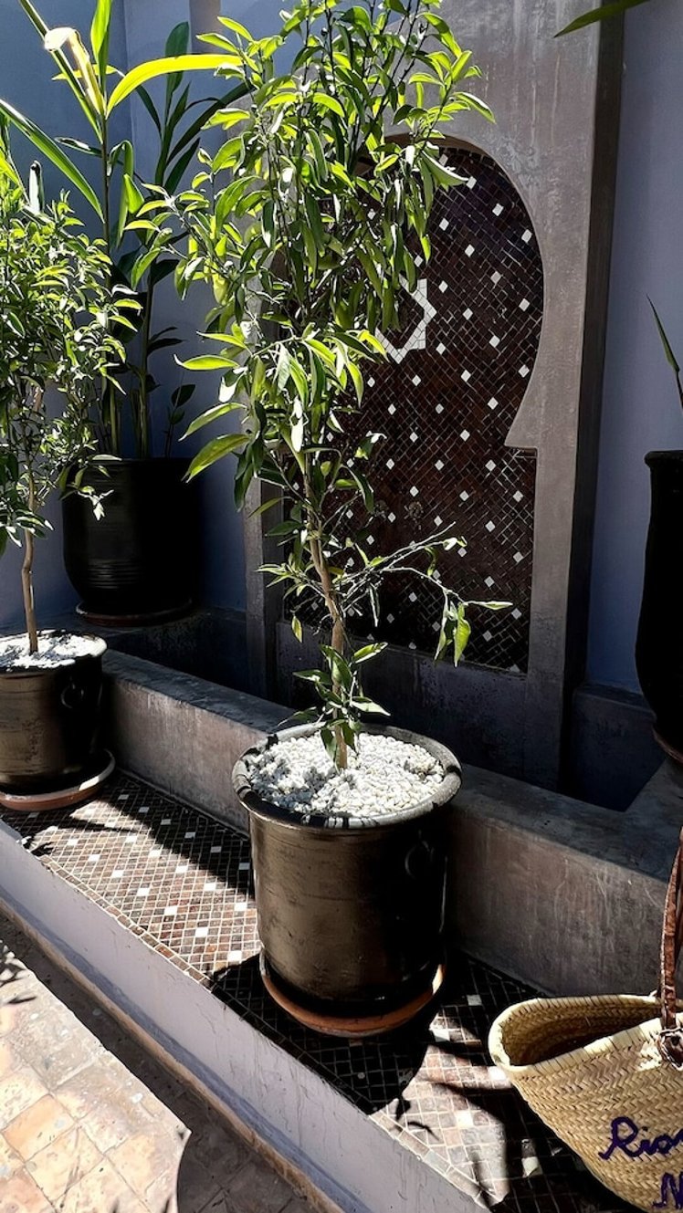 Riad Pourpre Medina, Marrakech