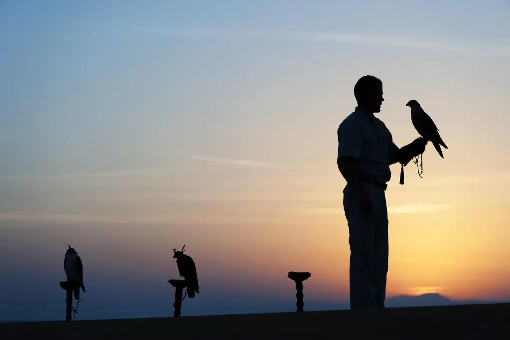 Sports and Entertainment, Al Maha, a Luxury Collection Desert Resort & Spa, Dubai