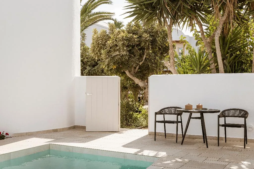 SUITE WITH PRIVATE POOL Room, Amaria Beach Resort, Athens
