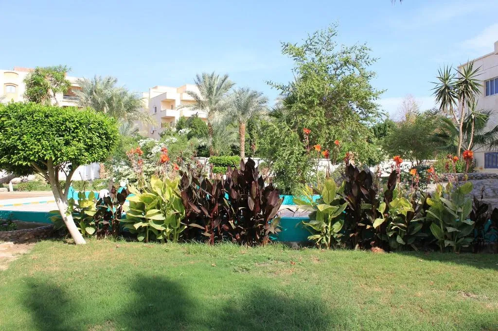 General view, Grand Blue St Marea Hotel & Aqua Park, Red Sea Riviera