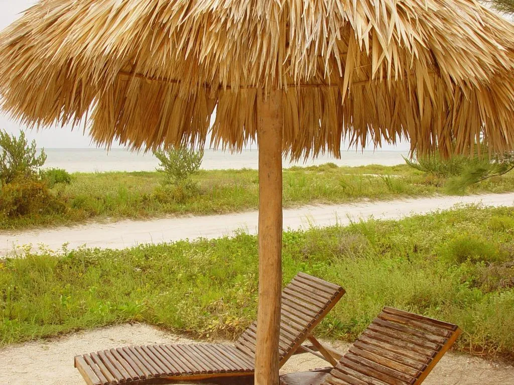 Beach, Holbox By Xaloc, Cancun Area