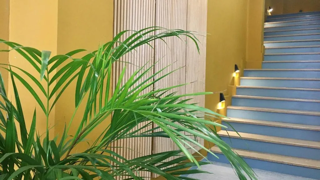 Lobby, B&B Mare de Deu Jardines del Turia, Valencia