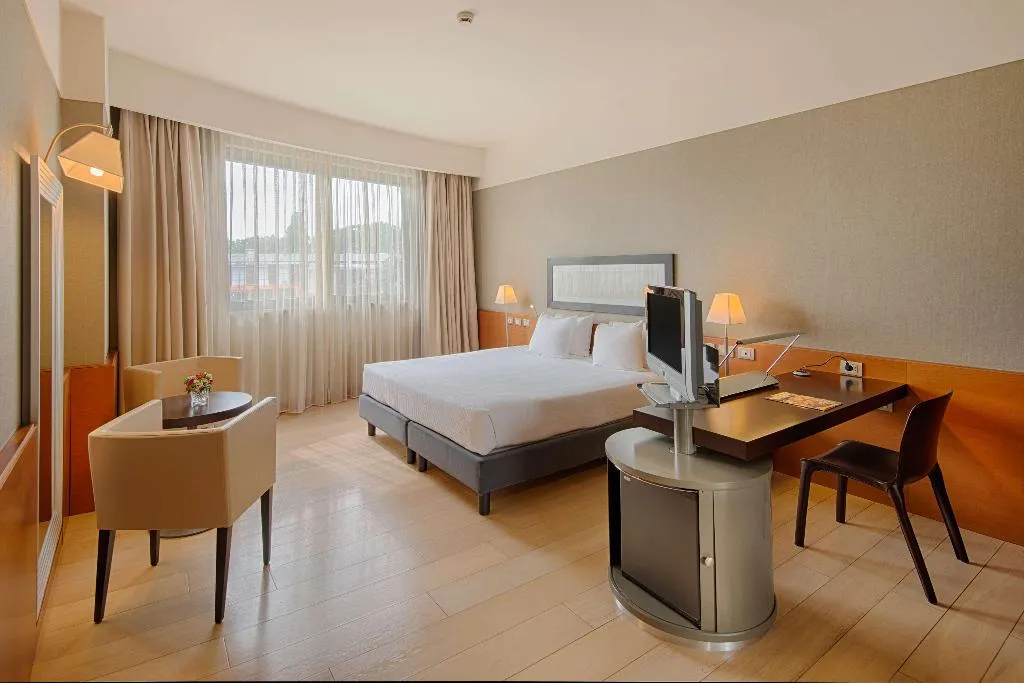 DOUBLE STANDARD Room, NH Linate, Milan