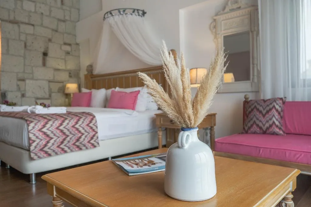 Room EXECUTIVE Room, Cocos the Club Solto, Izmir