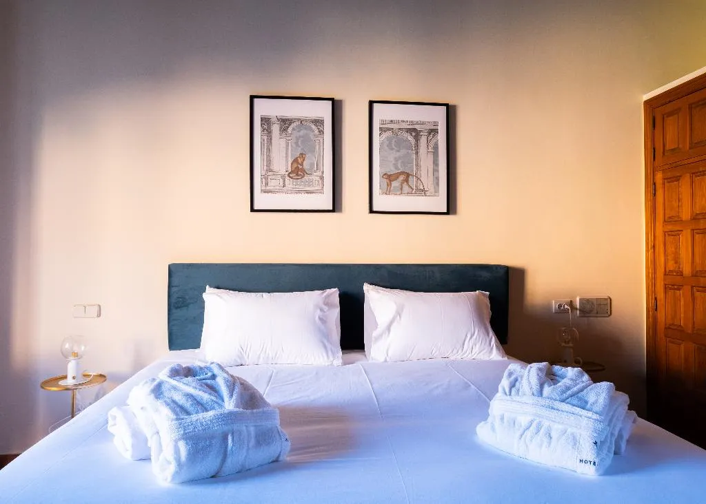 DOUBLE SINGLE USE DELUXE Room, Hotel Cetina Palacio Ayala Berganza, Madrid