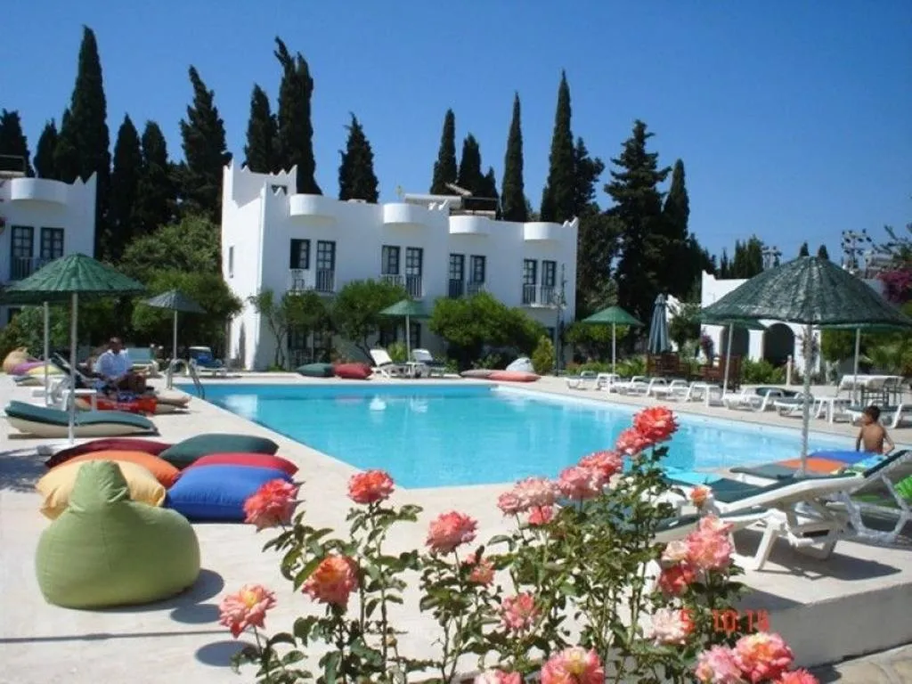 General view, Safir, Bodrum