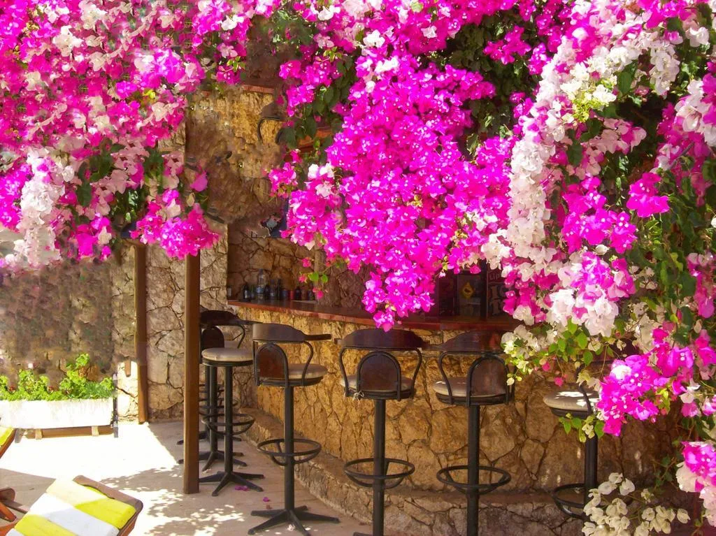 Bar, Sevgi Hotel, Dalaman