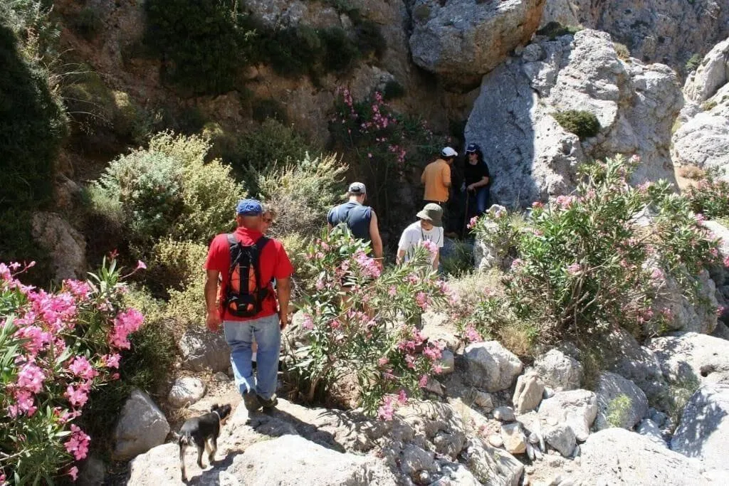 General view, Philoxenia Rooms, Crete