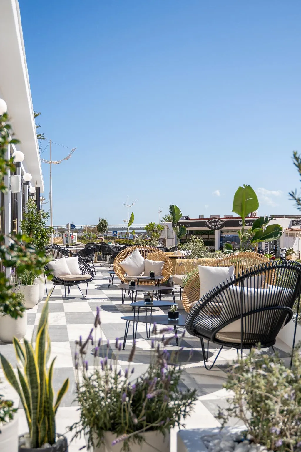 Terrace, Ocean Drive Ibiza, Ibiza