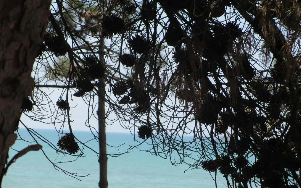 General view, Bel Conti, Durres