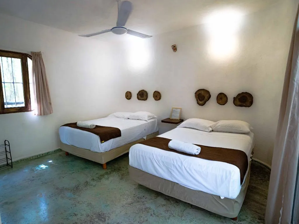 JUNIOR SUITE STANDARD Room, Jolie Jungle, Cancun Area