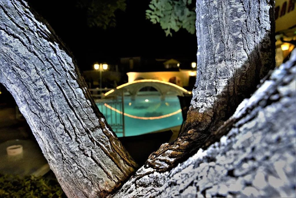 Pool, Elpida Hotel, Zante