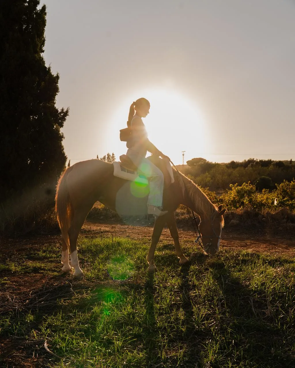 Sports and Entertainment, La Reserva Rotana, Majorca