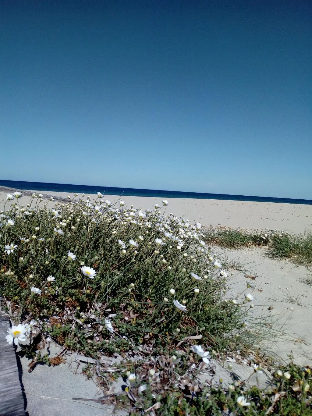 Beach, Hotel Velasole, Olbia