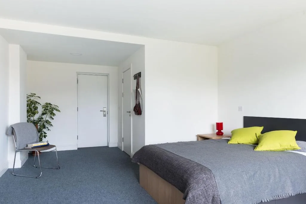 Room, The Montrose, Dublin