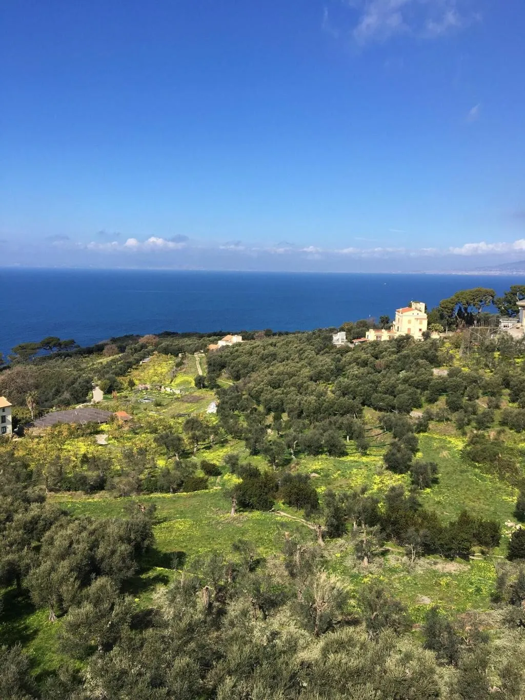 General view, Dania, Naples