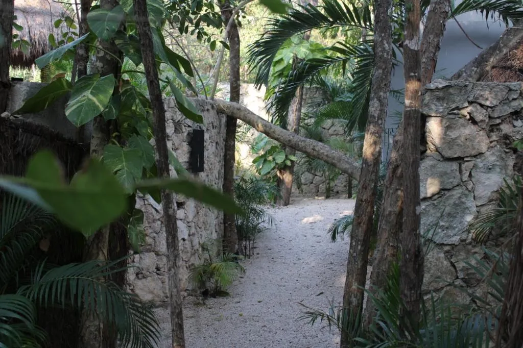 General view, Kuun Taak Tulum, Cancun Area