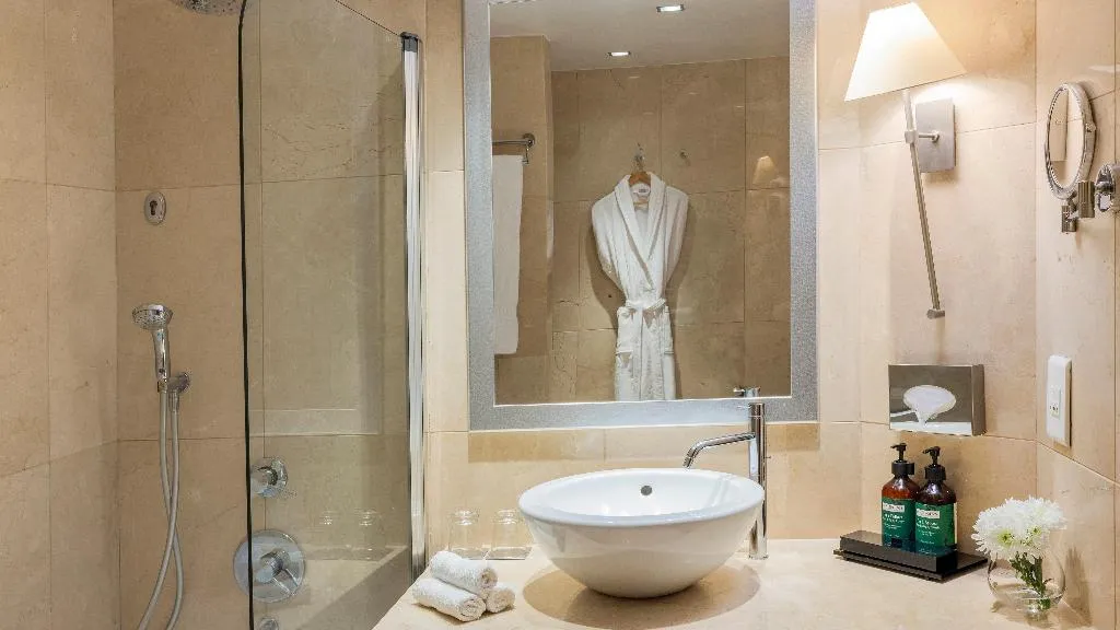 TWIN CITY VIEW Room, Crowne Plaza Porto, Porto
