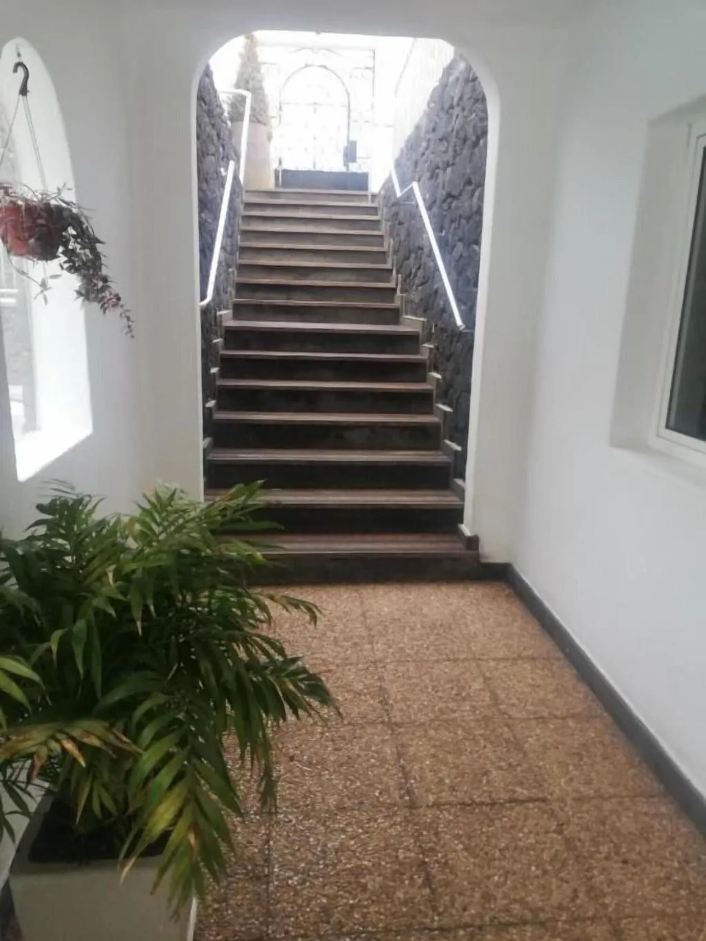 Lobby, Acuario Sol, Lanzarote