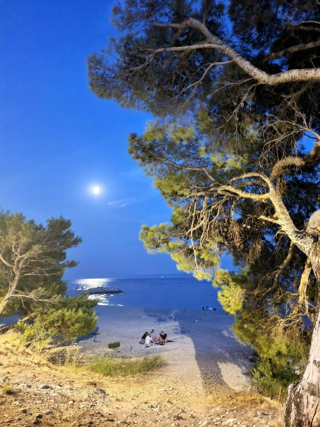 General view, Violeta Hvar, Split