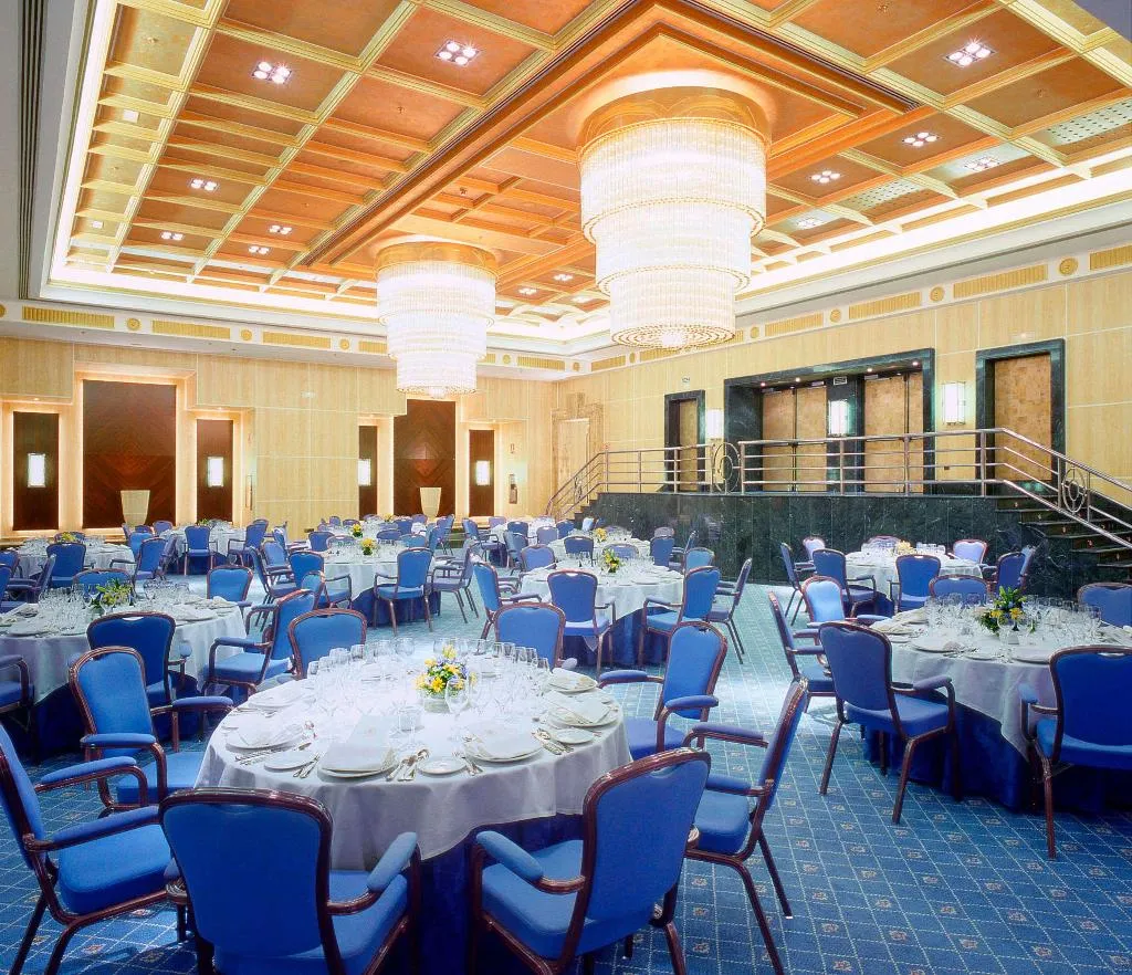 Conferences, The Level At Hotel Melia Castilla, Madrid