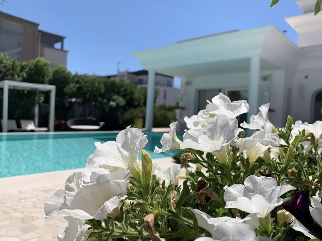 General view, White House Luxury Hospitality, Olbia