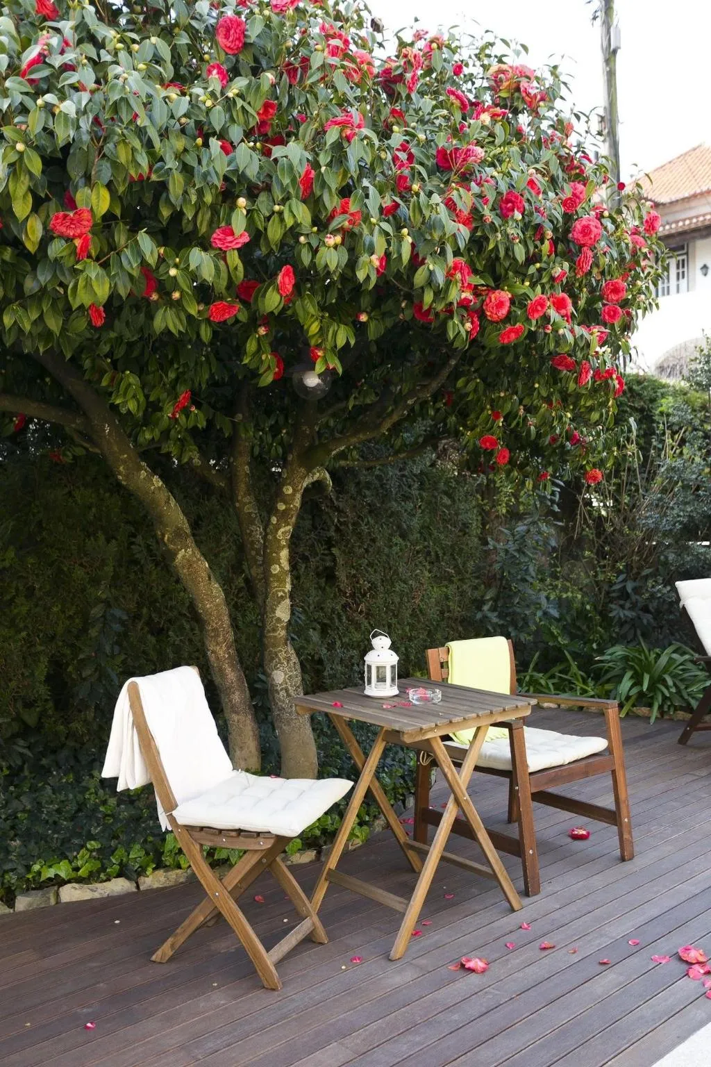 Room, Charming Antas House, Porto