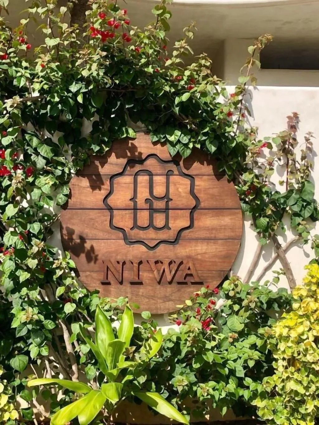 Sports and Entertainment, Niwa Tulum Luxury Suites, Cancun Area