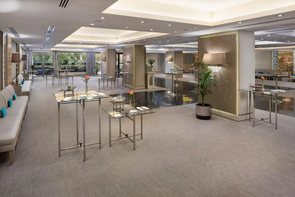 Conferences, The Level At Hotel Melia Castilla, Madrid