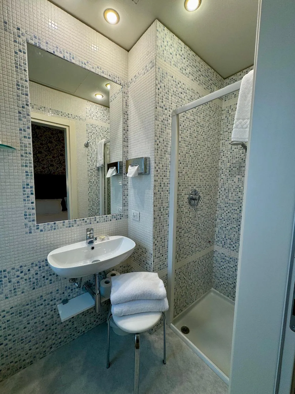 DOUBLE ECONOMY Room, Olivi Hotel & Natural Spa, Milan