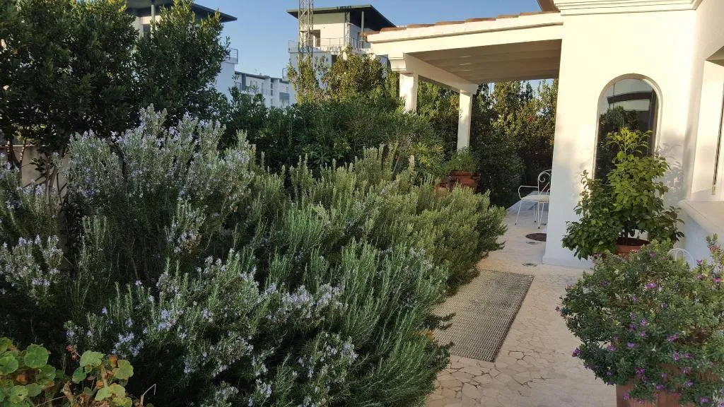 General view, White House Luxury Hospitality, Olbia